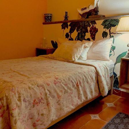 Pozzito Boutique Bed and Breakfast San Miguel de Allende Exteriör bild