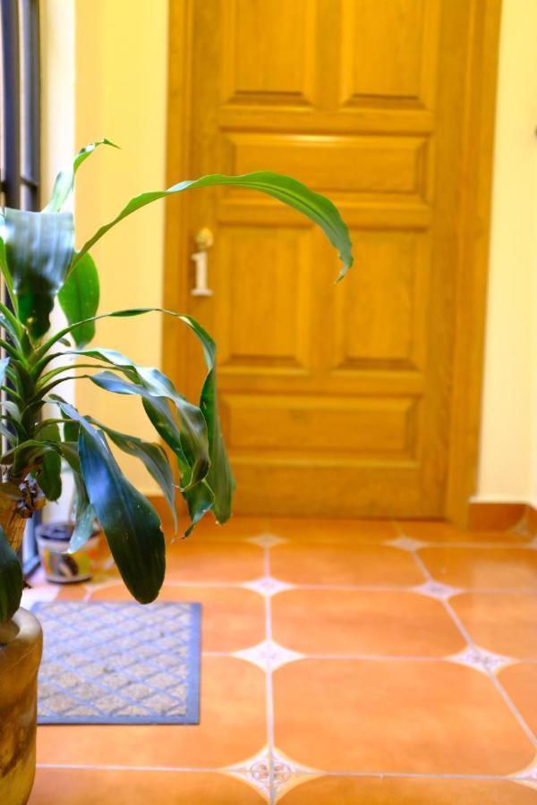 Pozzito Boutique Bed and Breakfast San Miguel de Allende Exteriör bild