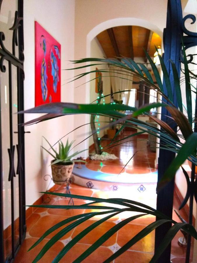 Pozzito Boutique Bed and Breakfast San Miguel de Allende Exteriör bild